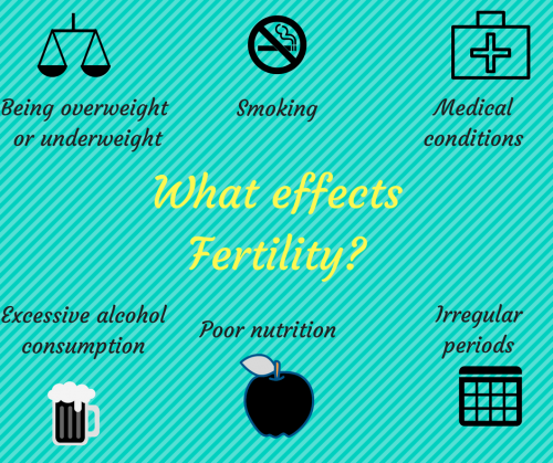 What effects Fertility-